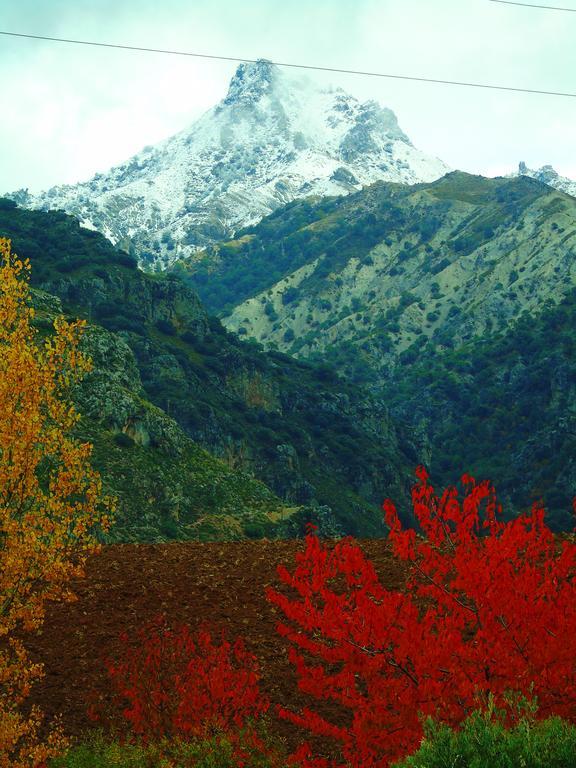 Apartamentos Turisticos Cumbres Verdes ラ・スビア エクステリア 写真