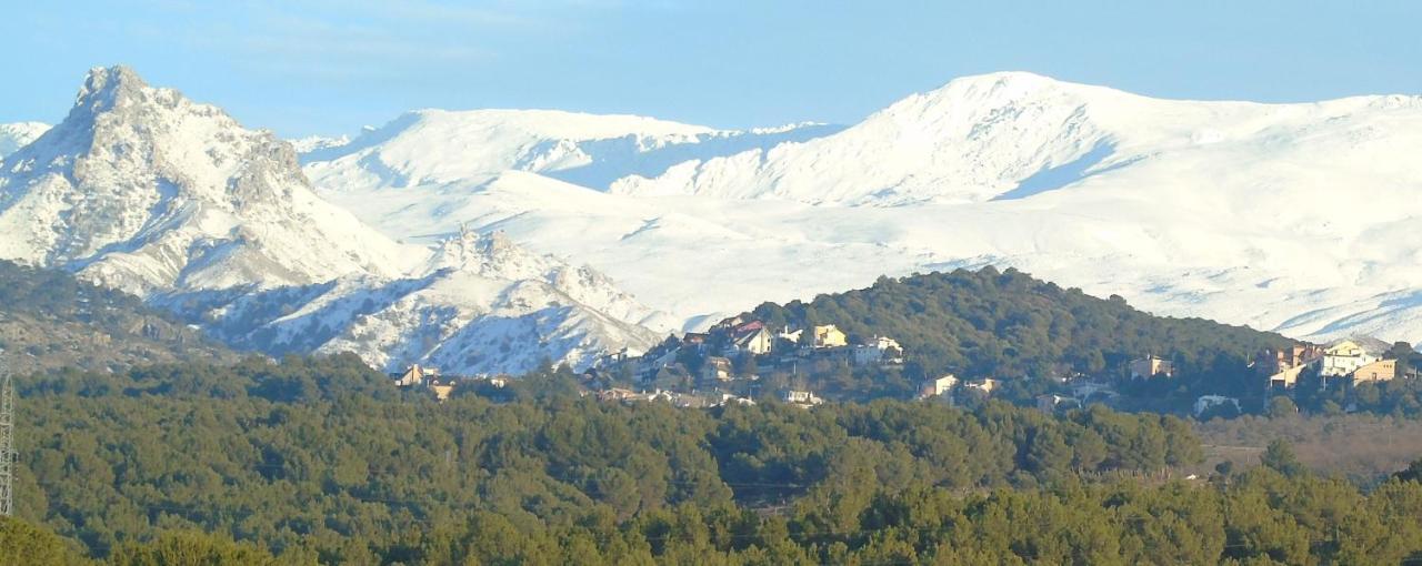 Apartamentos Turisticos Cumbres Verdes ラ・スビア エクステリア 写真